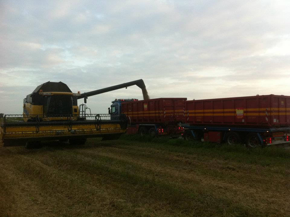 Mejetærsker læsser korn i vogne fra VSN Gruppen under høst