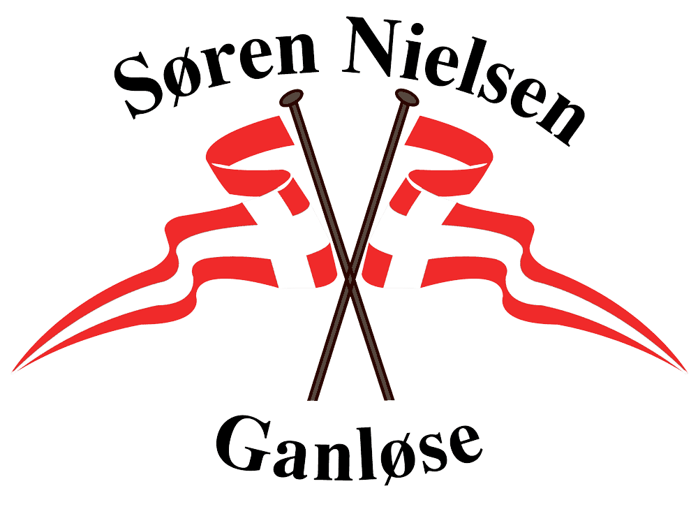 VSN Gruppen logo